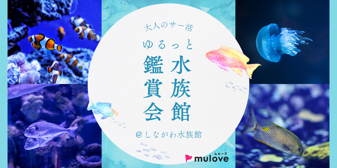 【大人のサー活】水族館デート気分を味わおう☆ in しながわ水族館（）
